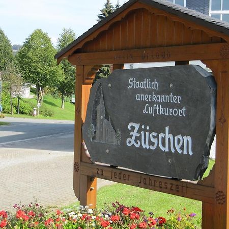 Appartamento Landhaus Zur Linde Winterberg Esterno foto